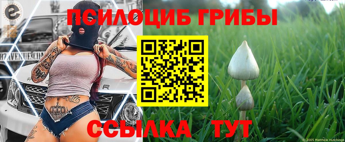 Галлюциногенные грибы Magic Shrooms  Вход с VPN  Лесной  Псилоцибиновые грибы Psilocybe 